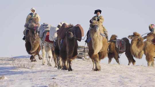 【10条合集】蒙古族民俗传统文化-51