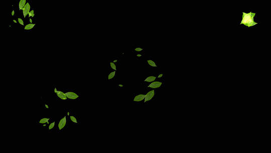 绿色茶叶背景小装饰视频