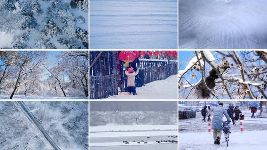 冬天雪景 立冬 冬至 大雪 大寒 小寒高清在线视频素材下载