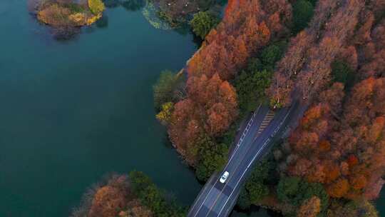 杭州西湖杨公堤茅家埠清晨光影秋色航拍