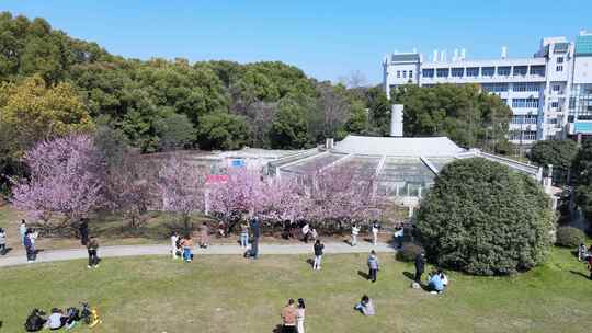 武汉大学校园航拍