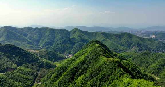 航拍浙江山区竹山竹林竹海大气治愈