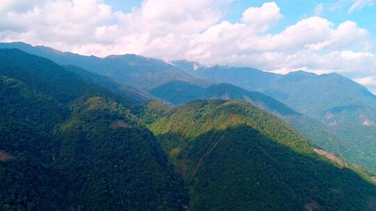 高黎贡山百花岭景区（摄影爱好者打鸟胜地）