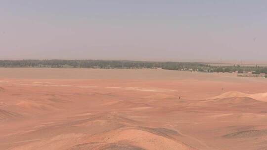 孤独地穿行在胭脂画卷