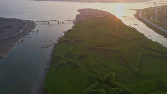 航拍厦门下潭尾湿地公园景观