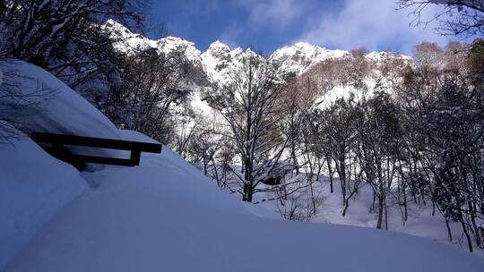 冬季雪景