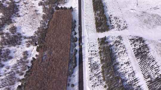 冬季雪地上的道路航拍全景