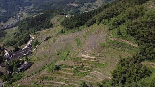 航拍山村田园湖南紫鹊界梯田