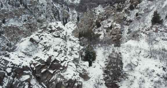 冬天在犹他州瓦萨奇山脉白雪皑皑的美国福克
