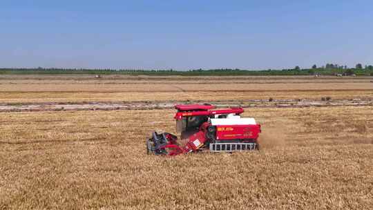 航拍农场夏收小麦 农场机械 现代化农业