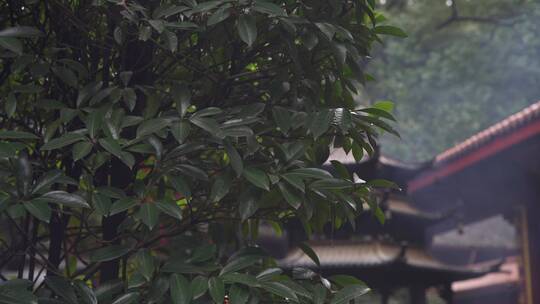 杭州飞来峰上天竺法喜讲寺