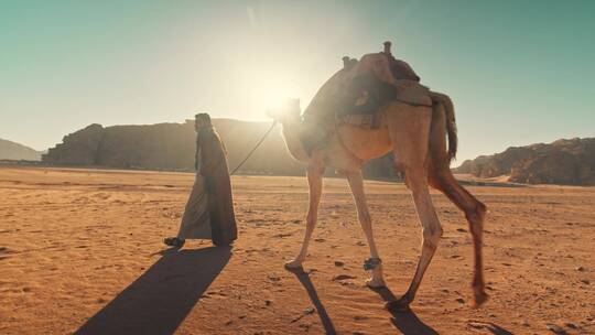 牵着骆驼在沙漠中行走