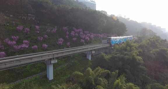 开放春天的列车 重庆轻轨 地铁 城市交通