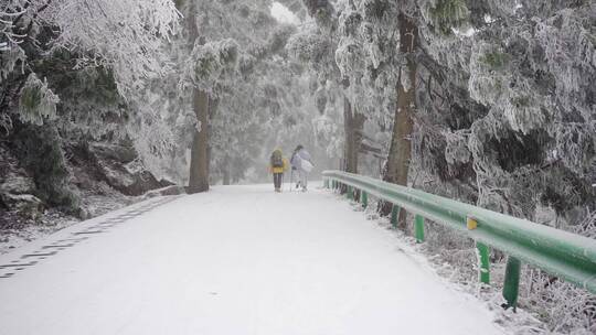 雾淞 雪景 看雪