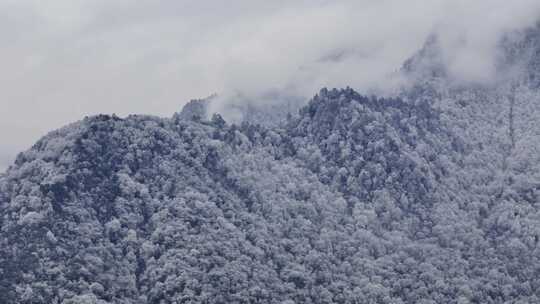 高山结冰雾凇寒气