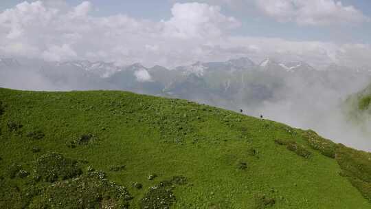 黄金奶源地纯净自然
