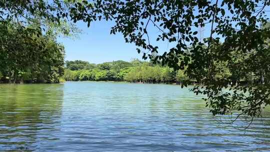 湖景水波纹