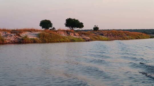 卡普里维地带/赞比西河区域夏季沿赞比西河纳米比亚一侧的游船视频素材模板下载