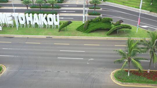 海口椰树道路