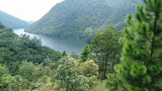 广东水利工程航拍水库 绿水青山