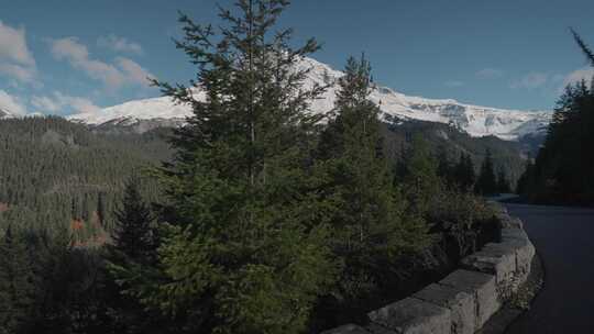 山，雪，森林，风景