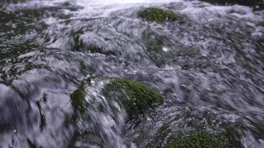 湖北恩施小溪河源头活水流淌青苔满地