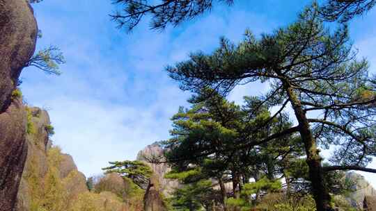 黄山风景区壮观云海延时风景视频素材