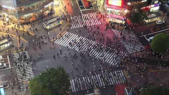 东京，人行横道，道路，人群