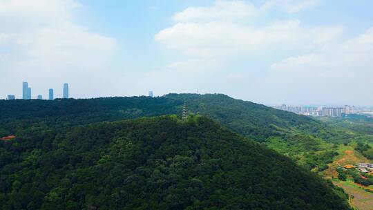 广西南宁青秀山风景区龙象塔