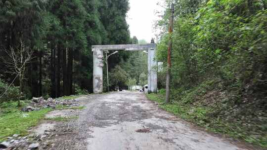 平坝区国营大坡林场航拍