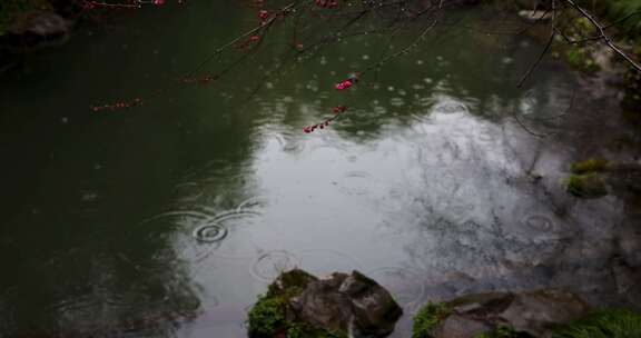 杭州西湖冬季雨天雨滴