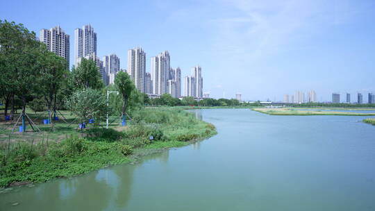 武汉杨春湖城市生态公园风景