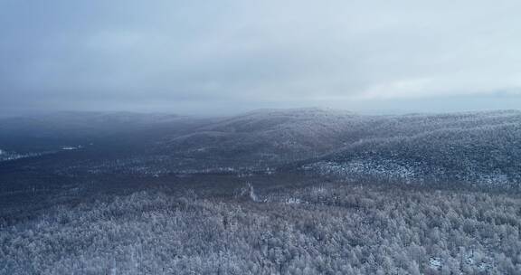 航拍林海雪原风光