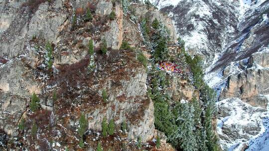 青海互助天门寺雪山树木航拍视频