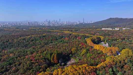 江苏南京中山陵灵山风景区音乐台秋色航拍