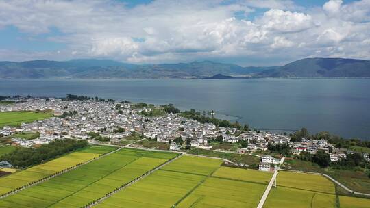 稻田秋天秋收湖泊颜色航拍摄影