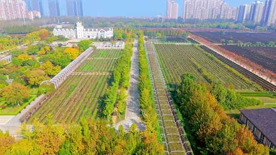 航拍烟台张裕卡斯特酒庄景点建筑风光