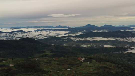 高山草原云层奶牛枚场草丛绿地