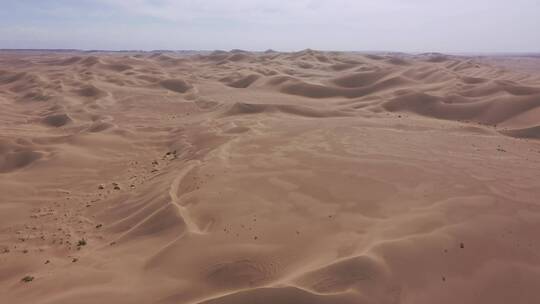沙漠地带