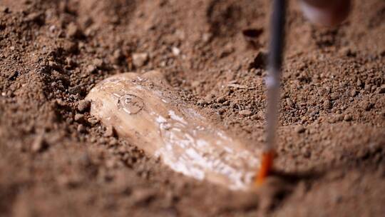 考古人员野外用刷子扫去覆盖在文物上沙土