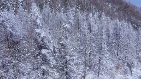 秦岭分水岭  冰雪世界