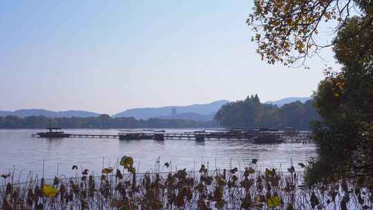 杭州西湖秋天风景