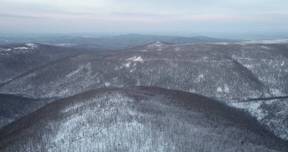 冰雪森林、高山雾凇