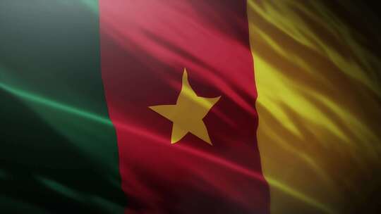 喀麦隆国旗挥舞-4K视频素材模板下载