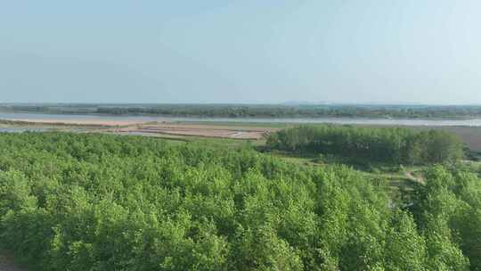 长江河流湿地生态环境绿色植被树林