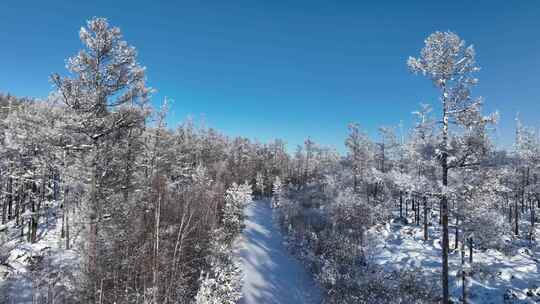 大兴安岭原始森林高山雾凇