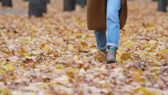 女孩在满是落叶的公园中行走