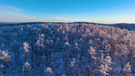 林海雪原 唯美高山雾凇