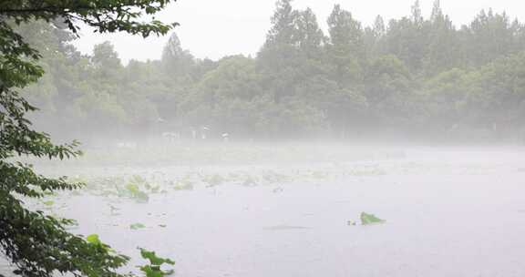 （慢镜）中国杭州西湖下雨天大雾仙气飘飘