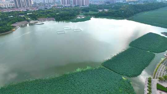 湖北武汉月湖龟山电视塔汉江风景区航拍车流